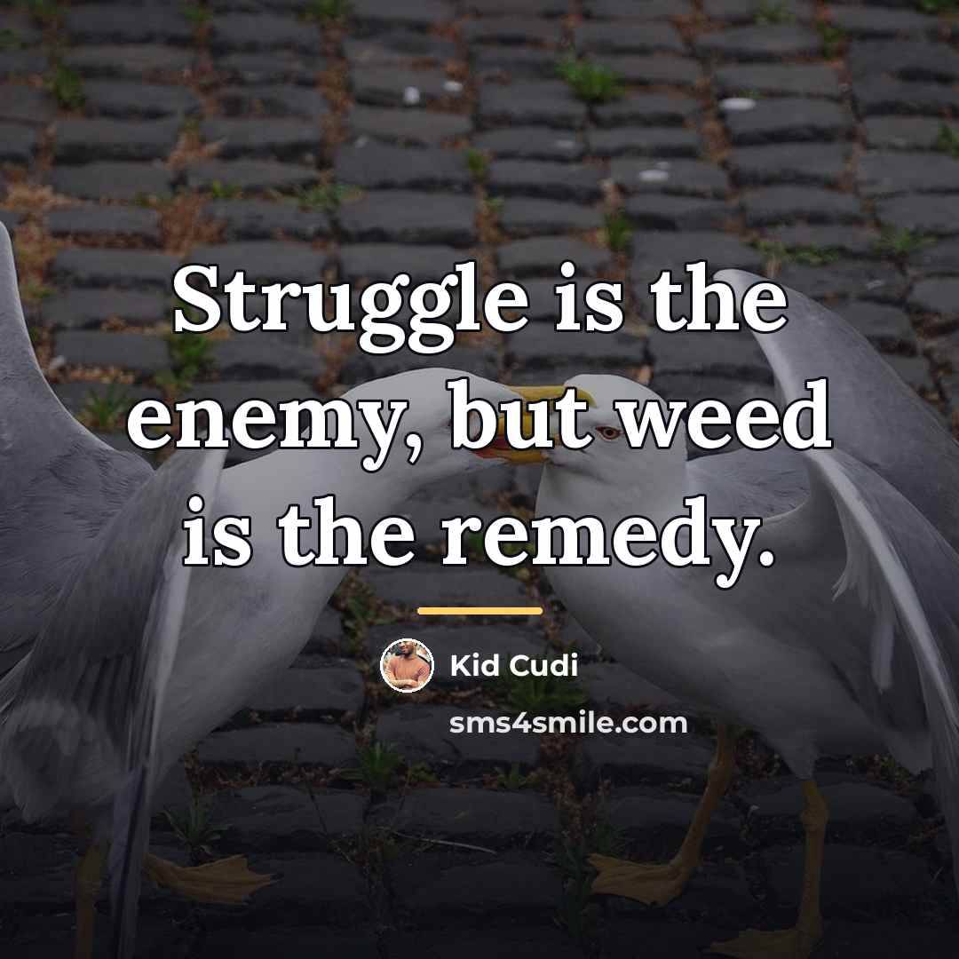 “Struggle is the enemy, but weed is the remedy.…” quote by Kid Cudi
