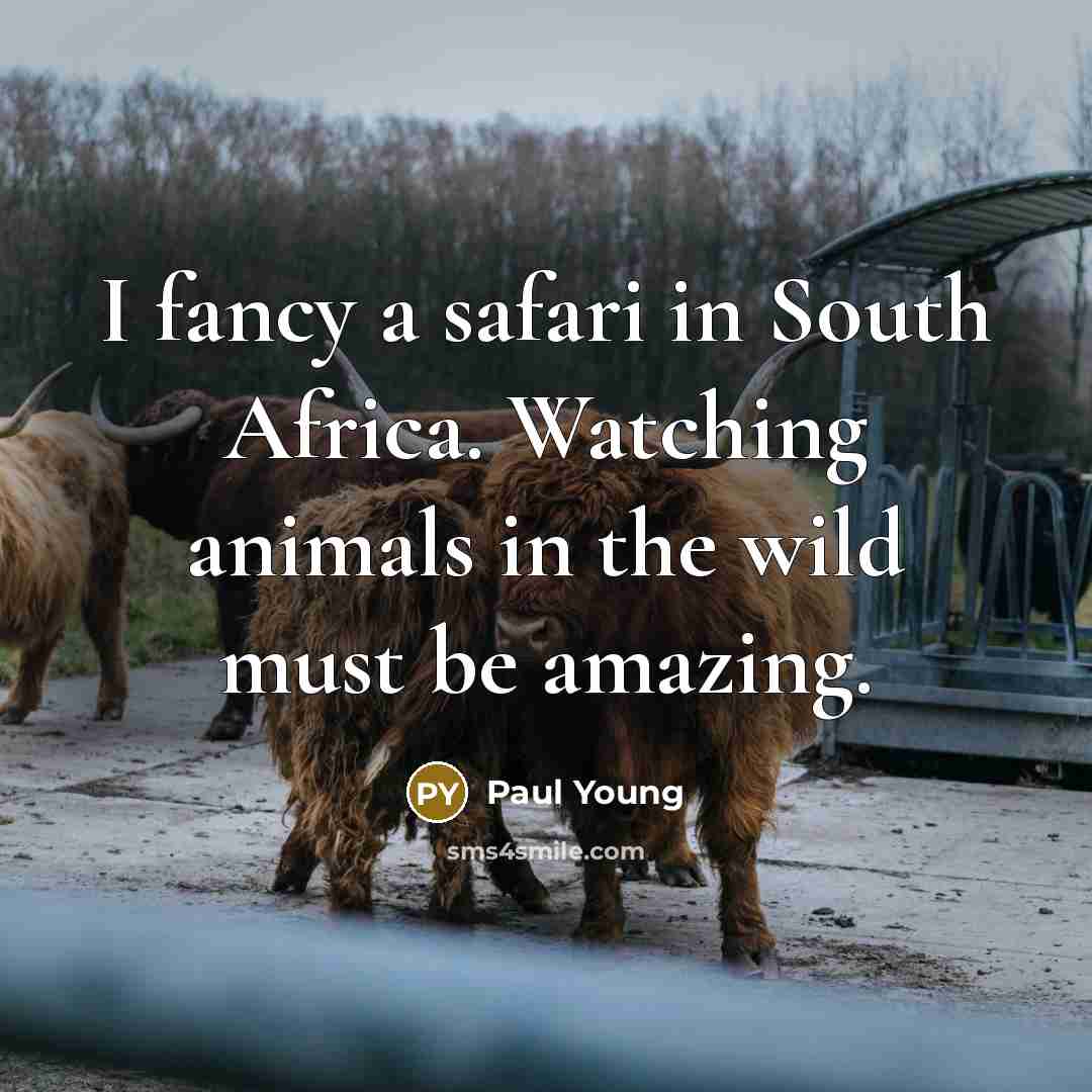 “I fancy a safari in South Africa. Watching animals in…” quote by Paul Young