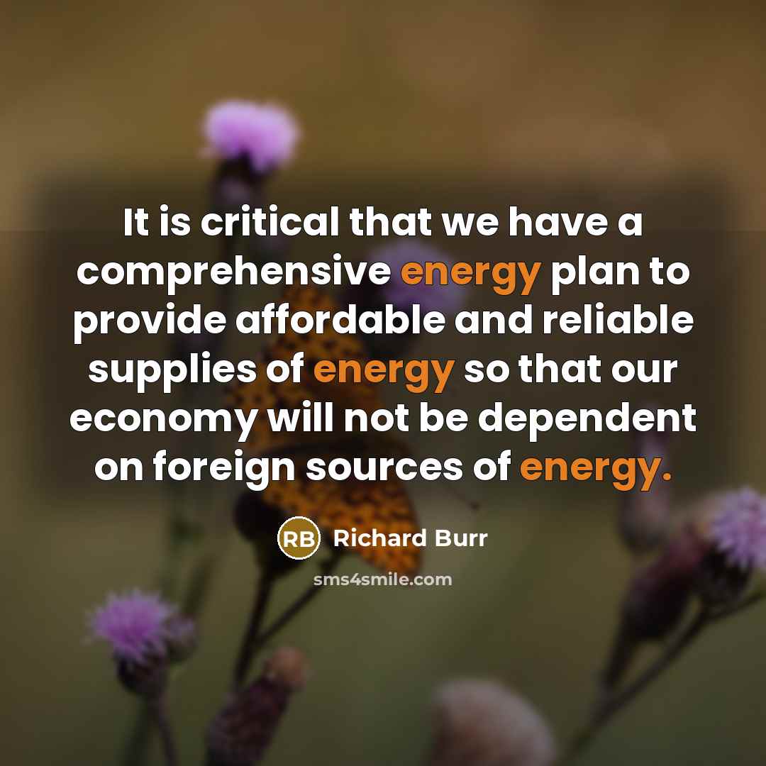 “It is critical that we have a comprehensive energy plan…” quote by Richard Burr