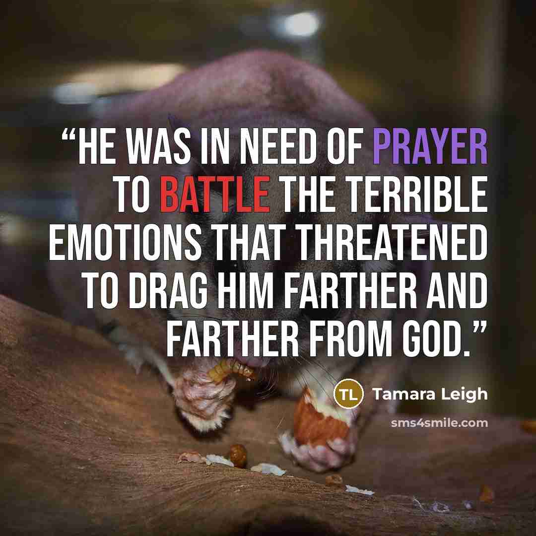 “He was in need of prayer to battle the terrible emotions that threatened to drag him farther and farther from God.” quote by Tamara Leigh