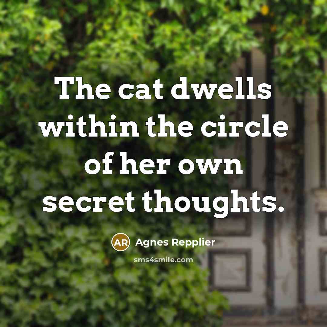 “The cat dwells within the circle of her own secret…” quote by Agnes Repplier