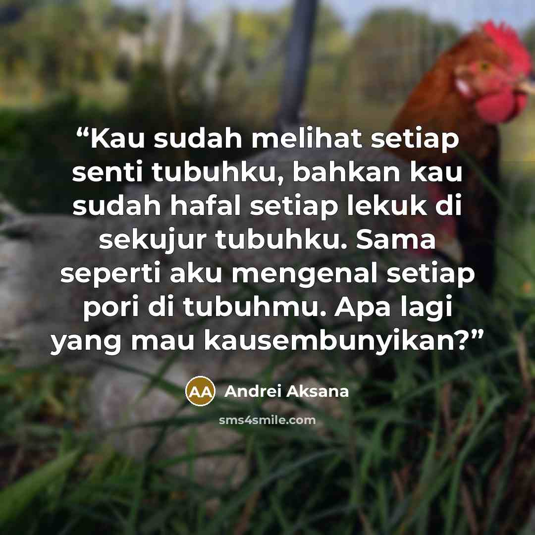 “Kau sudah melihat setiap senti tubuhku, bahkan kau sudah hafal setiap lekuk di sekujur tubuhku. Sama seperti aku mengenal setiap pori di tubuhmu. Apa lagi yang mau kausembunyikan?” quote by Andrei Aksana