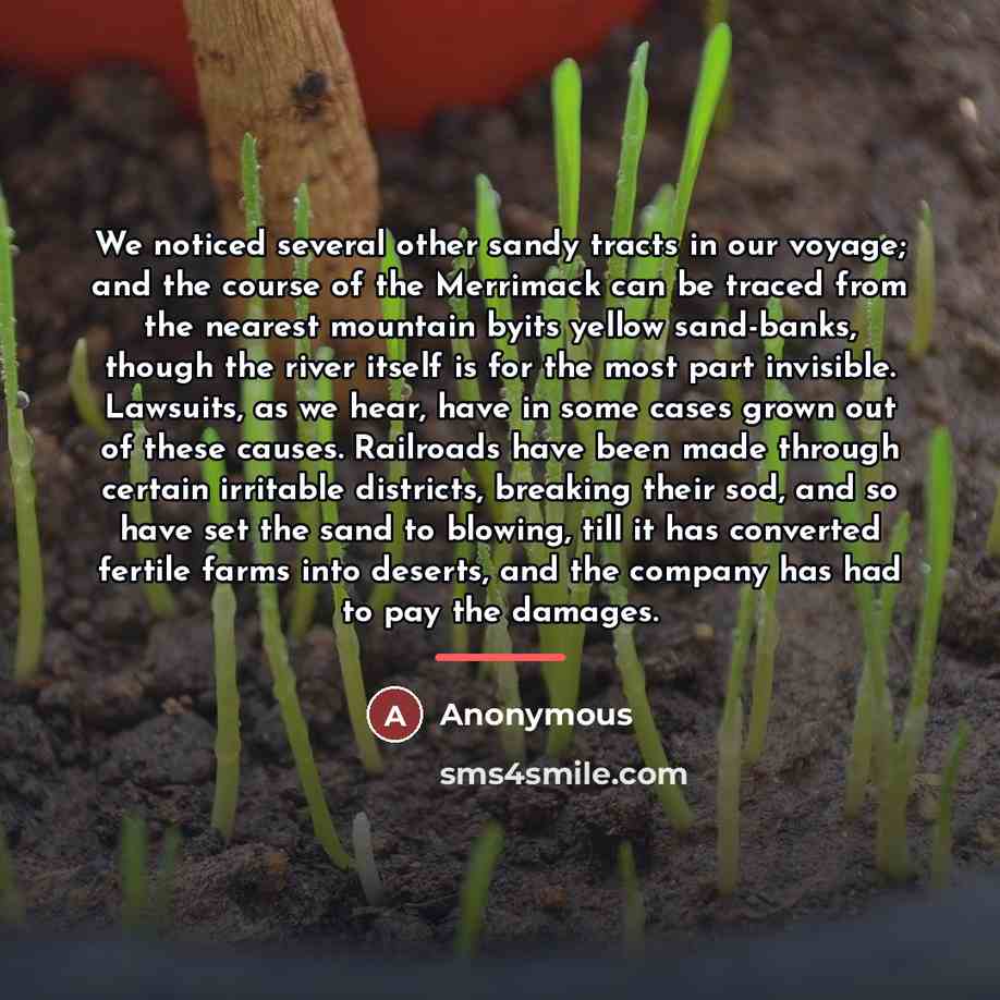 “We noticed several other sandy tracts in our voyage; and…” quote by Anonymous