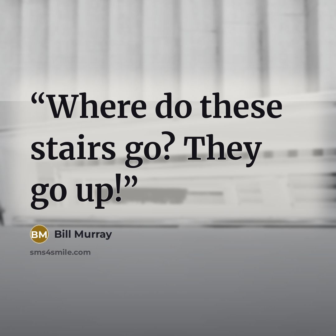 “Where do these stairs go? They go up!” quote by Bill Murray