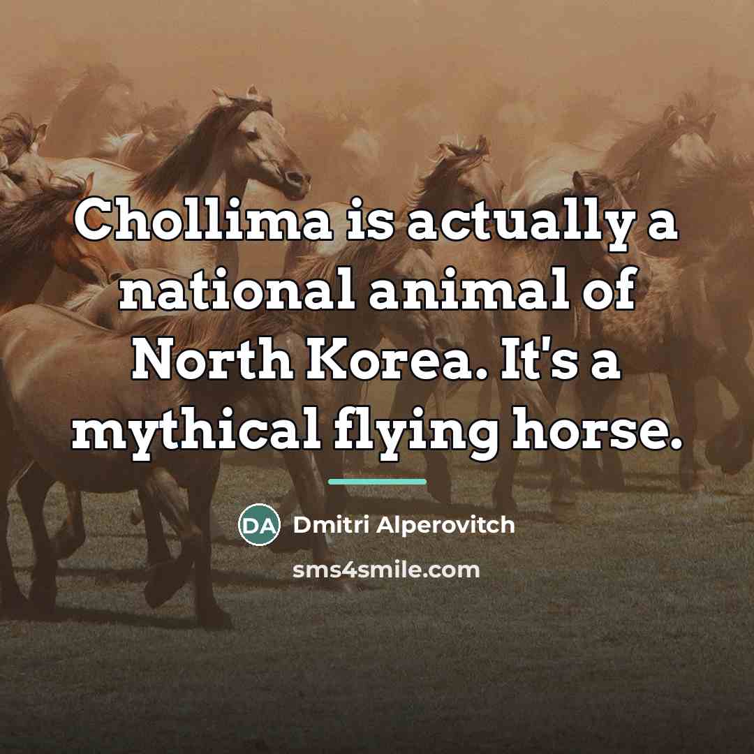 “Chollima is actually a national animal of North Korea. It's…” quote by Dmitri Alperovitch