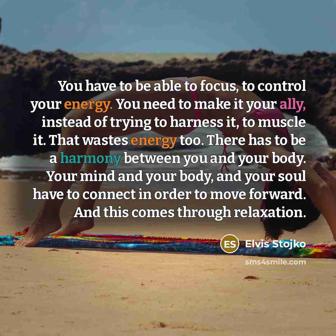 “You have to be able to focus, to control your…” quote by Elvis Stojko