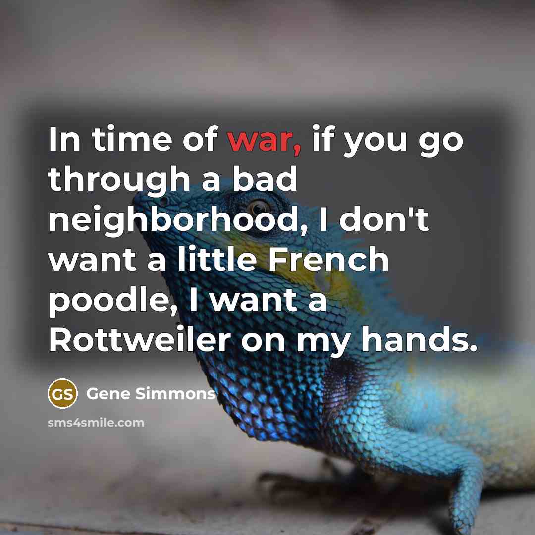 “In time of war, if you go through a bad neighborhood, I don't want a little French poodle, I want a Rottweiler on my hands.” quote by Gene Simmons