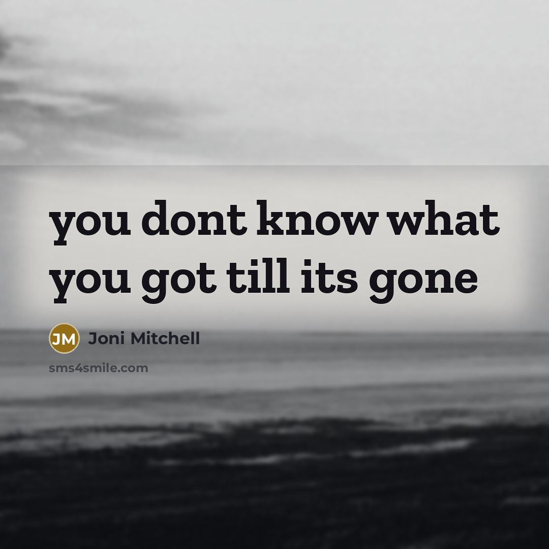 “you dont know what you got till its gone…” quote by Joni Mitchell