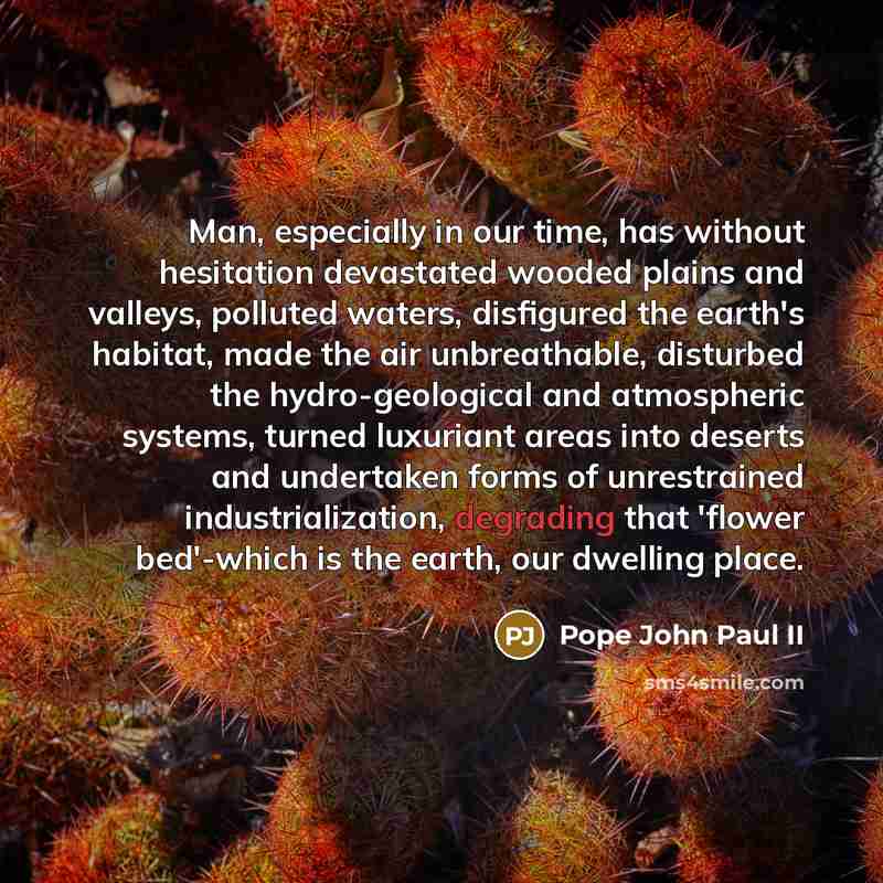 “Man, especially in our time, has without hesitation devastated wooded…” quote by Pope John Paul II