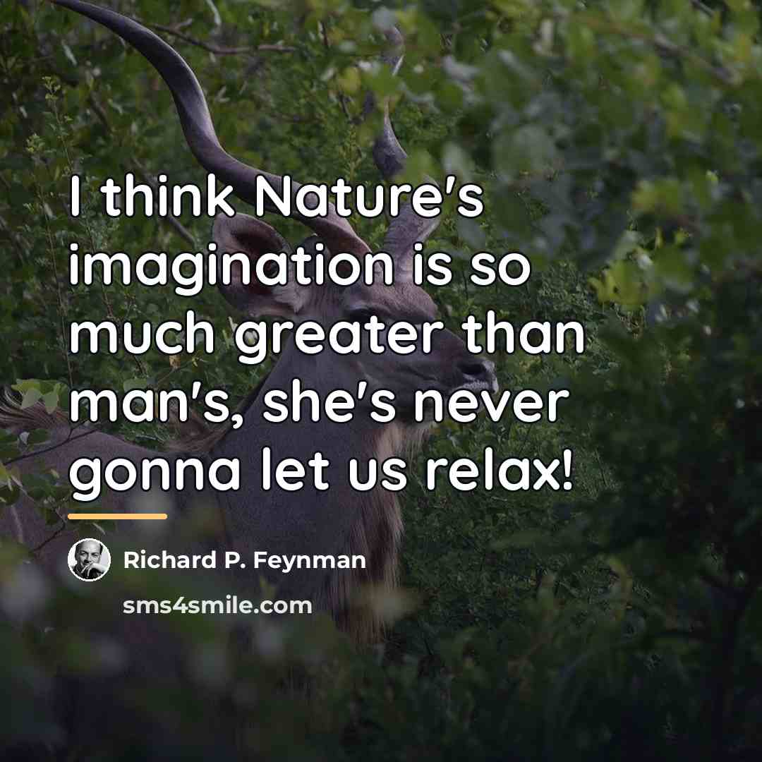 “I think Nature's imagination is so much greater than man's,…” quote by Richard P. Feynman