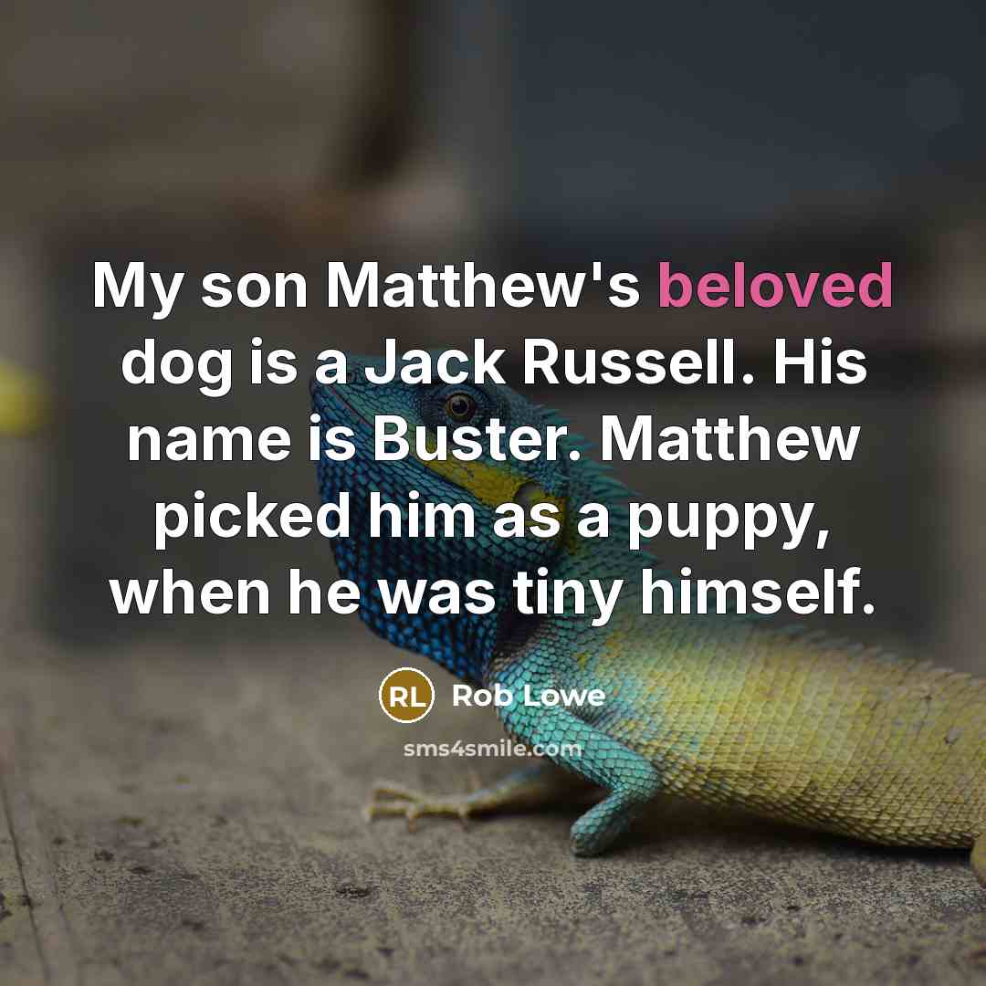 “My son Matthew's beloved dog is a Jack Russell. His name is Buster. Matthew picked him as a puppy, when he was tiny himself.” quote by Rob Lowe