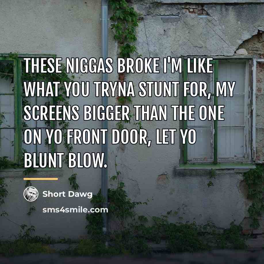 “These niggas broke I'm like what you tryna stunt for,…” quote by Short Dawg