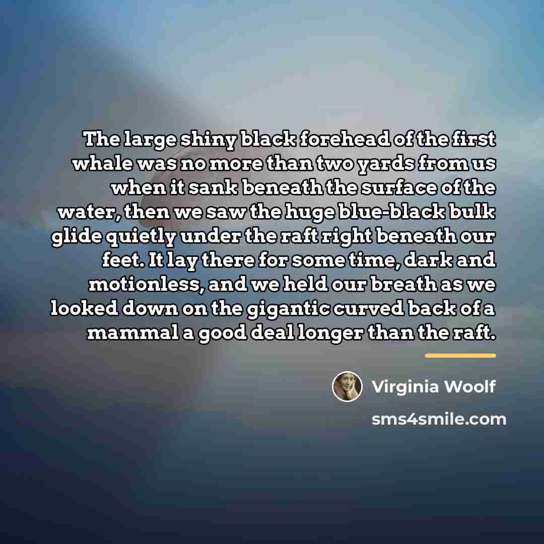“The large shiny black forehead of the first whale was…” quote by Virginia Woolf