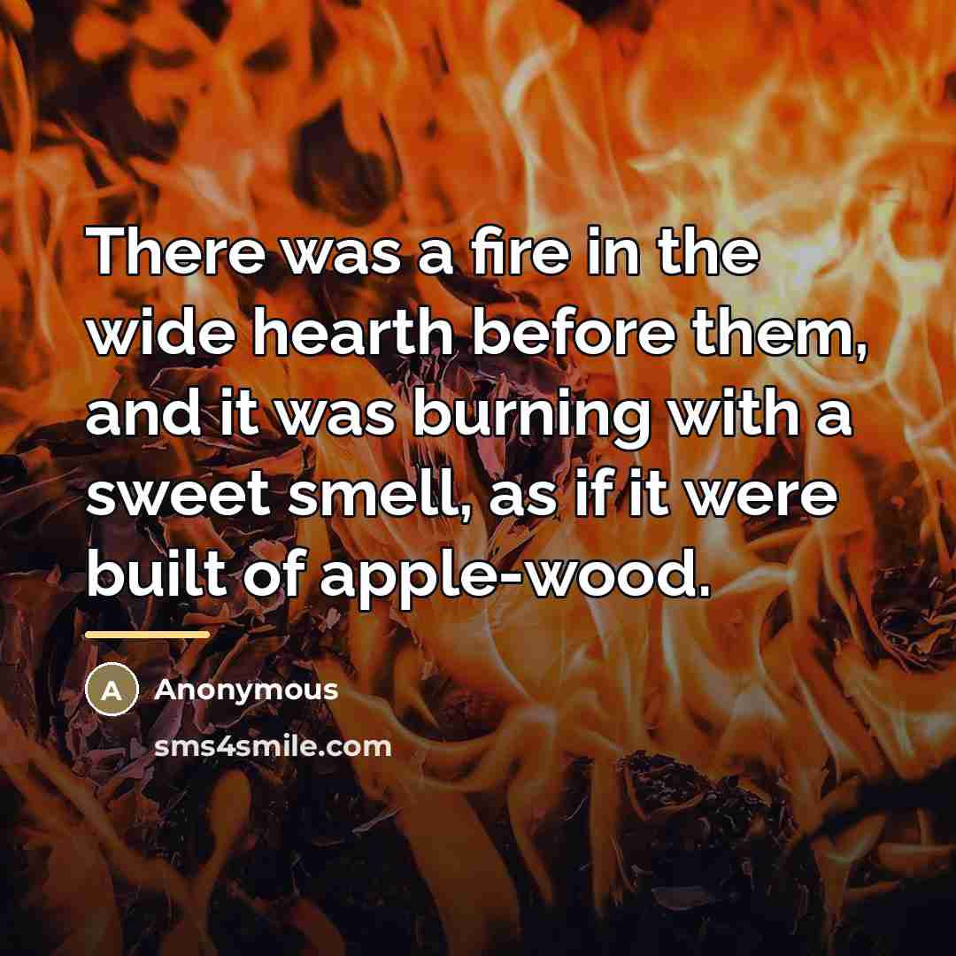 “There was a fire in the wide hearth before them,…” quote by Anonymous