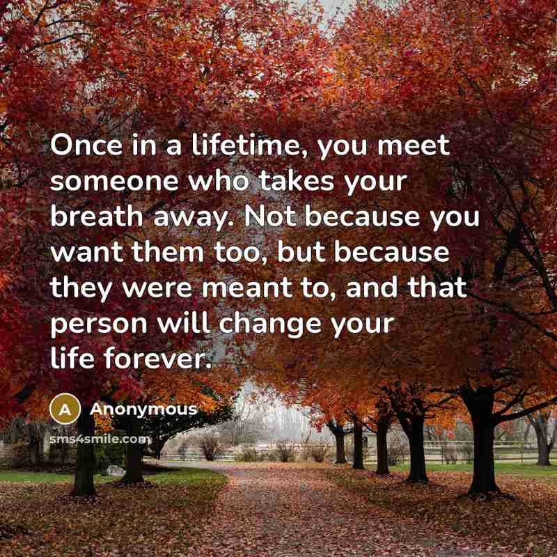 “Once in a lifetime, you meet someone who takes your…” quote by Anonymous