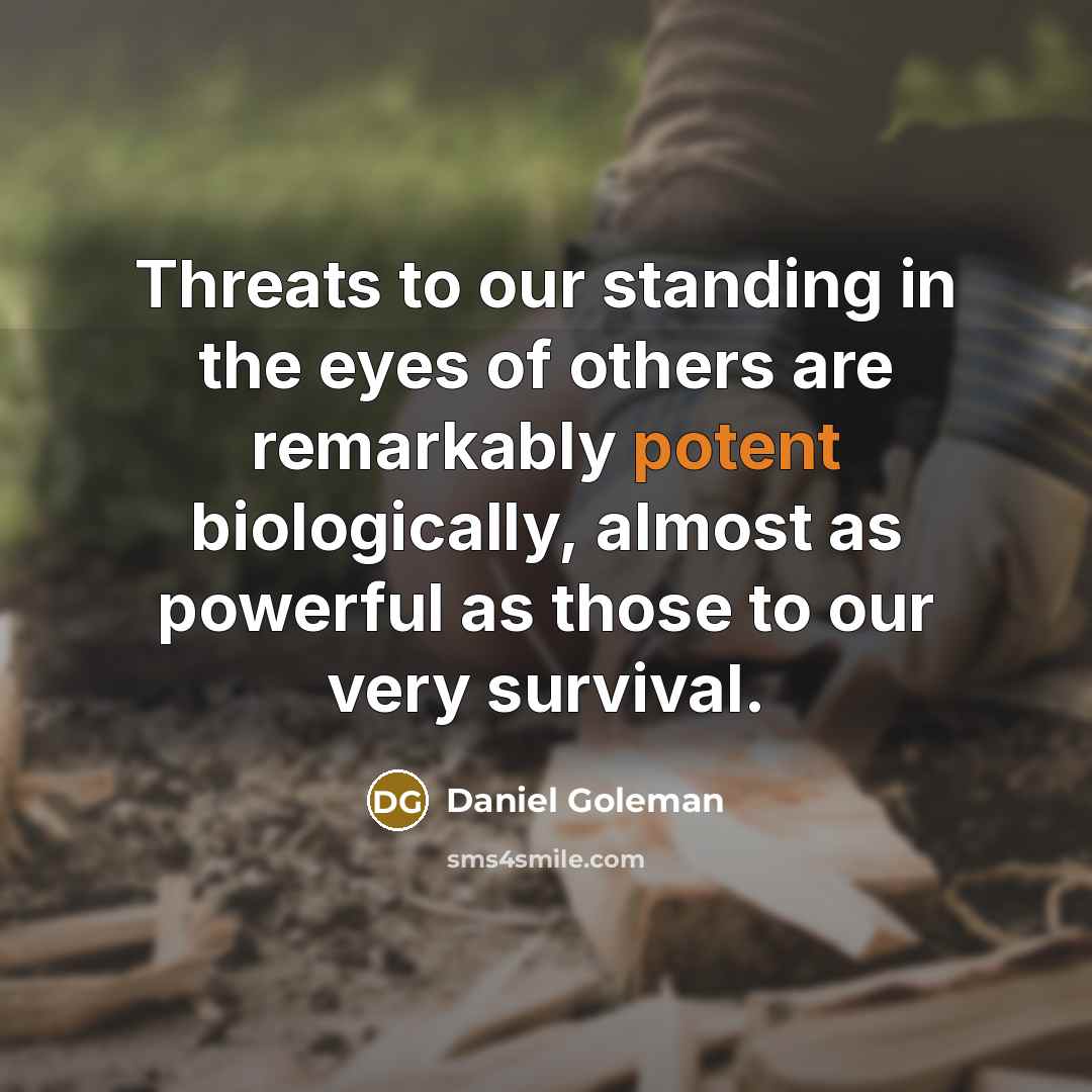“Threats to our standing in the eyes of others are…” quote by Daniel Goleman