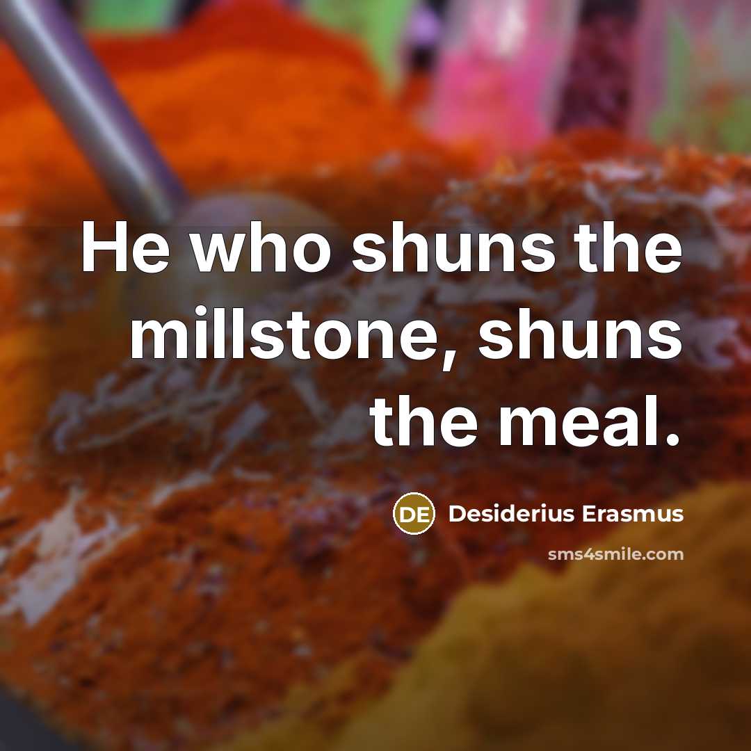 “He who shuns the millstone, shuns the meal.…” quote by Desiderius Erasmus