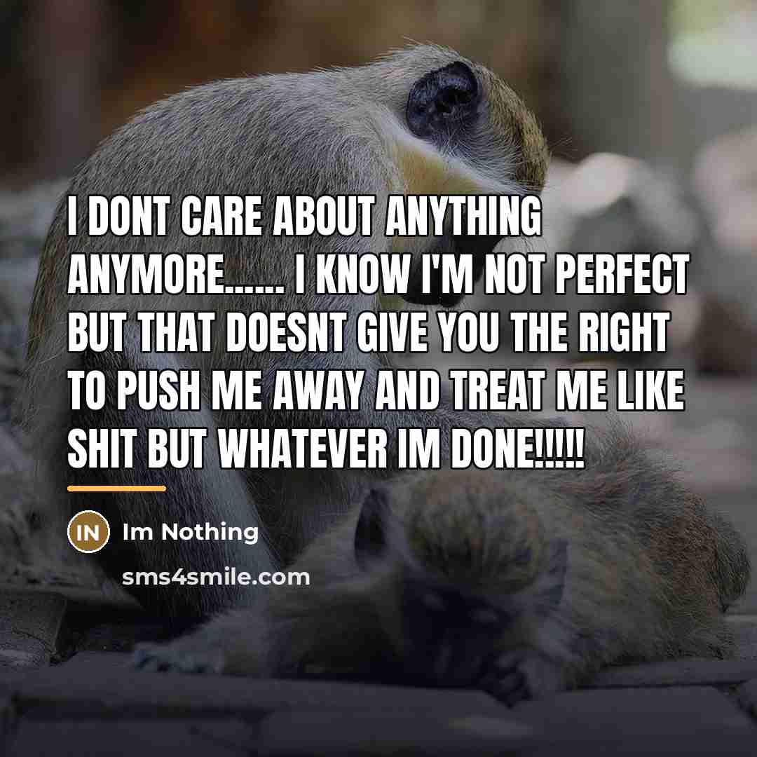 “I dont care about anything anymore...... I know I'm not…” quote by Im Nothing