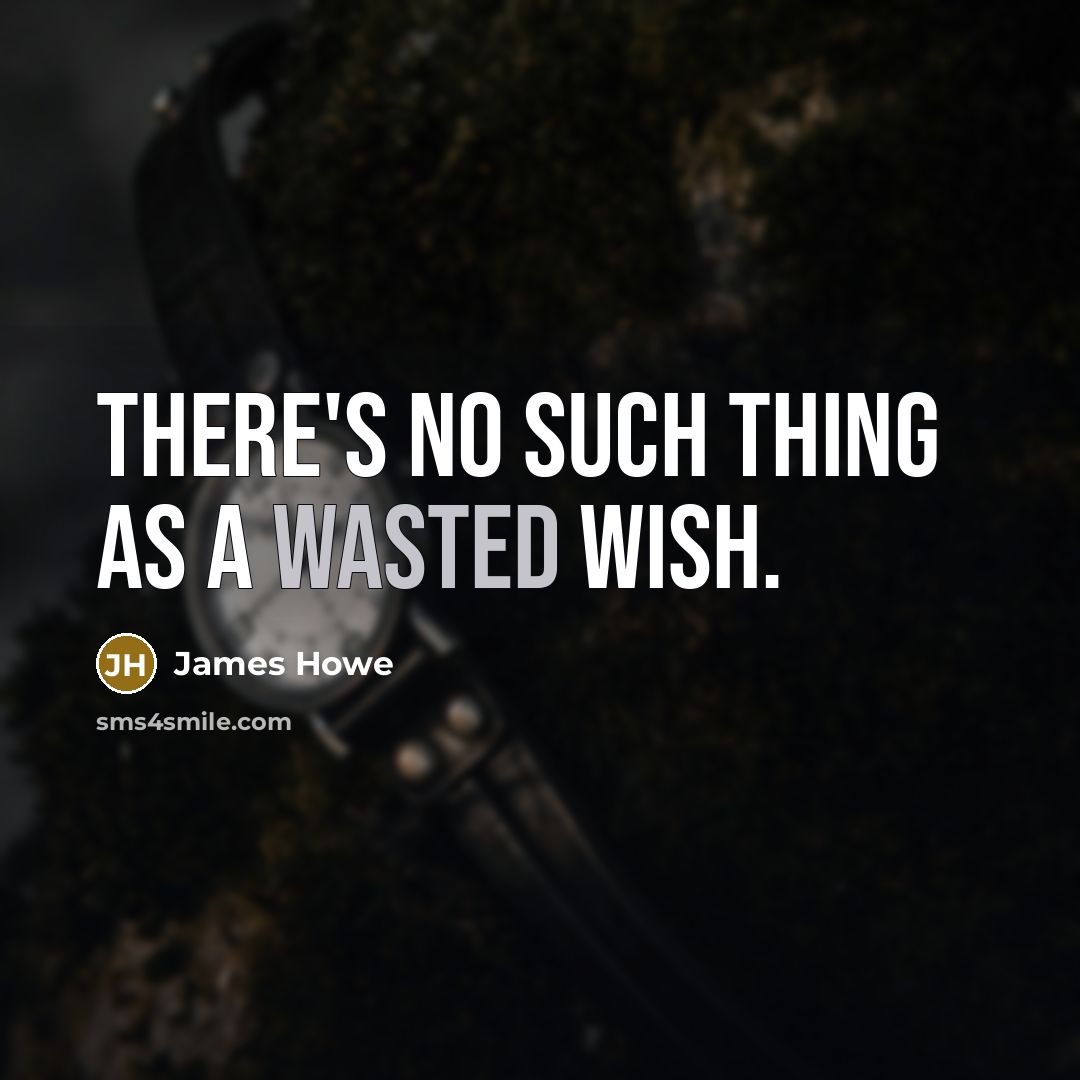 “There's no such thing as a wasted wish.” quote by James Howe