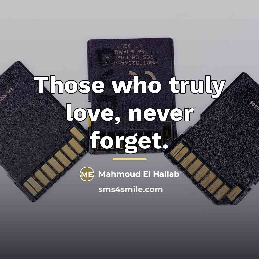 “Those who truly love, never forget.…” quote by Mahmoud El Hallab