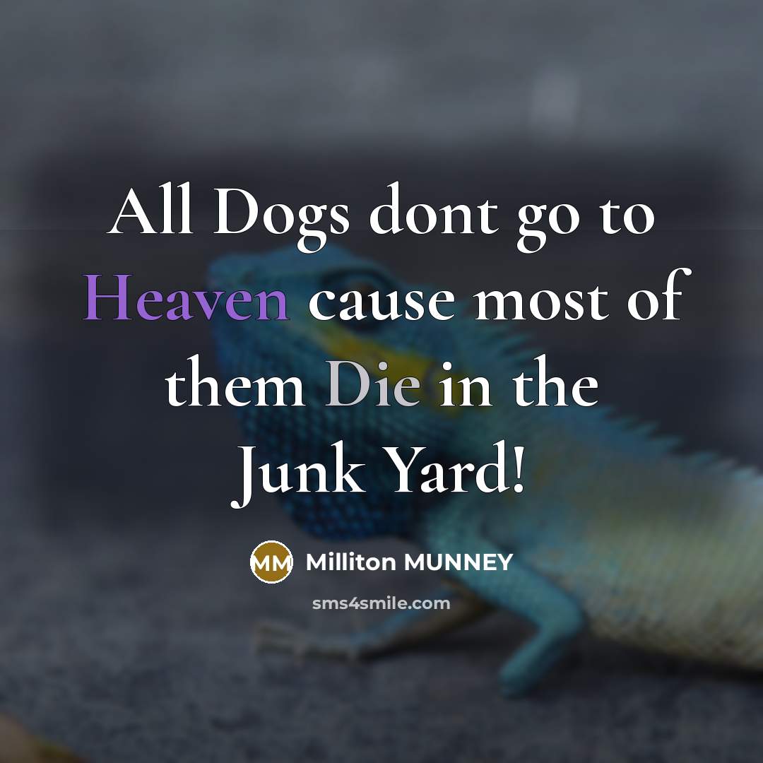 “All Dogs dont go to Heaven cause most of them Die in the Junk Yard!” quote by Milliton MUNNEY