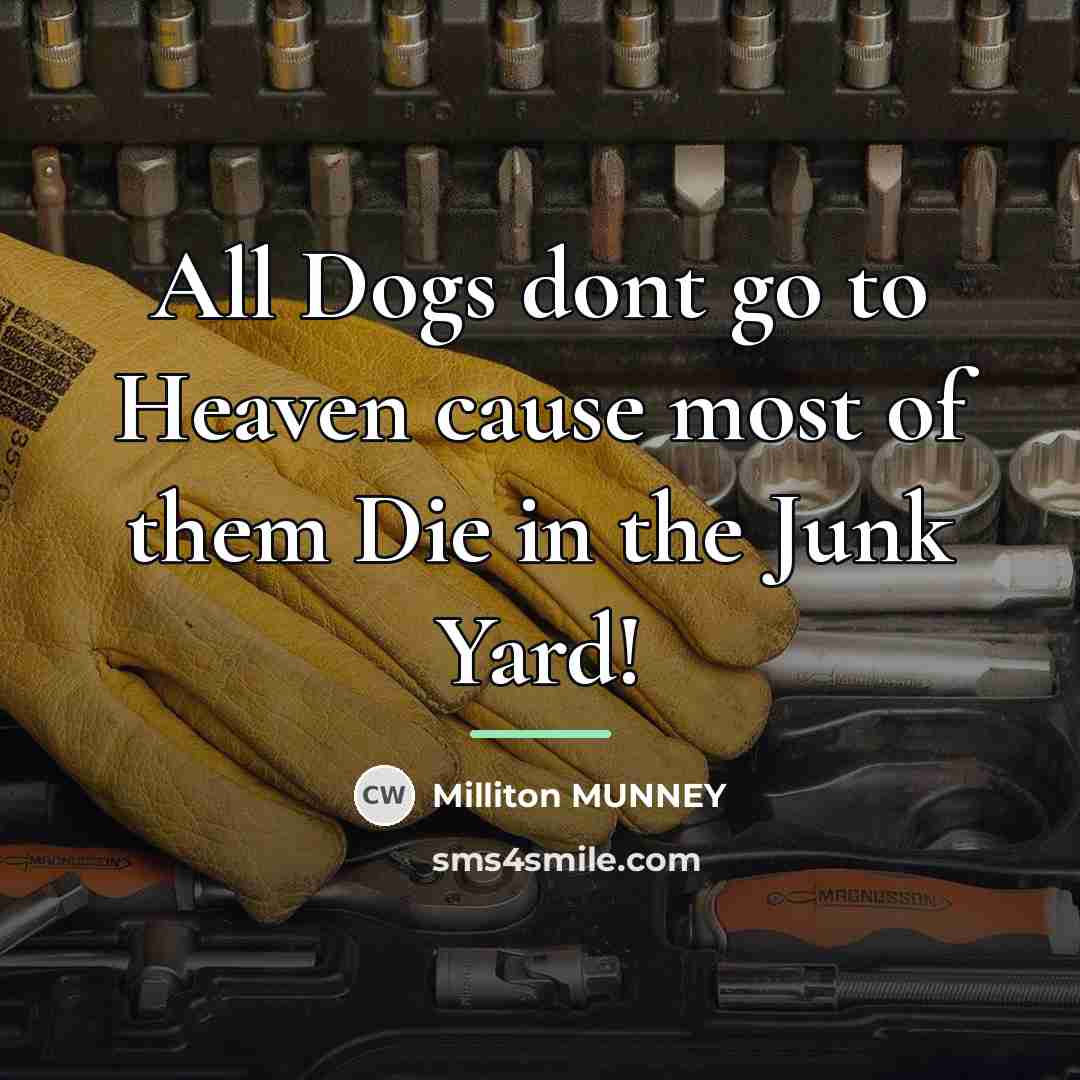 “All Dogs dont go to Heaven cause most of them…” quote by Milliton MUNNEY