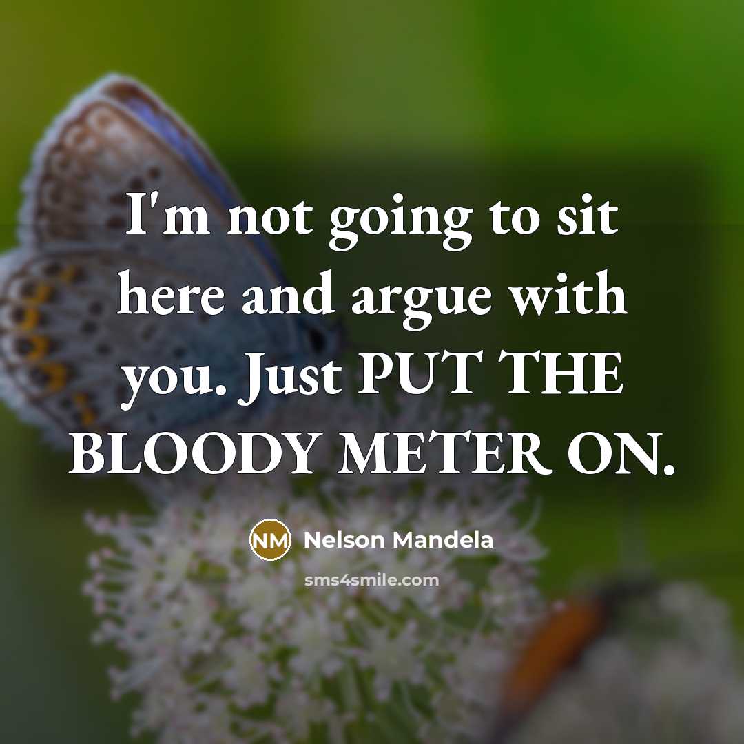 “I'm not going to sit here and argue with you.…” quote by Nelson Mandela