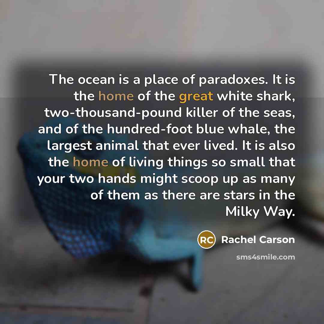 “The ocean is a place of paradoxes. It is the…” quote by Rachel Carson