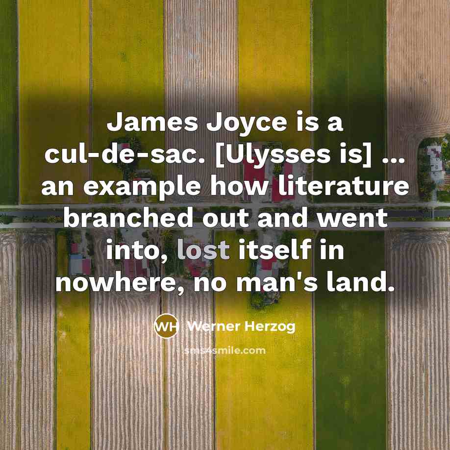 “James Joyce is a cul-de-sac. [Ulysses is] ... an example…” quote by Werner Herzog
