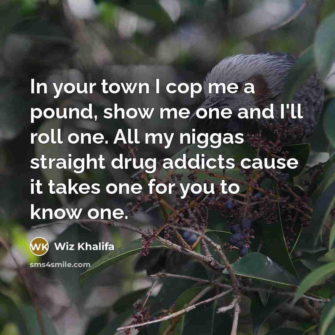 “In your town I cop me a pound, show me…” quote by Wiz Khalifa