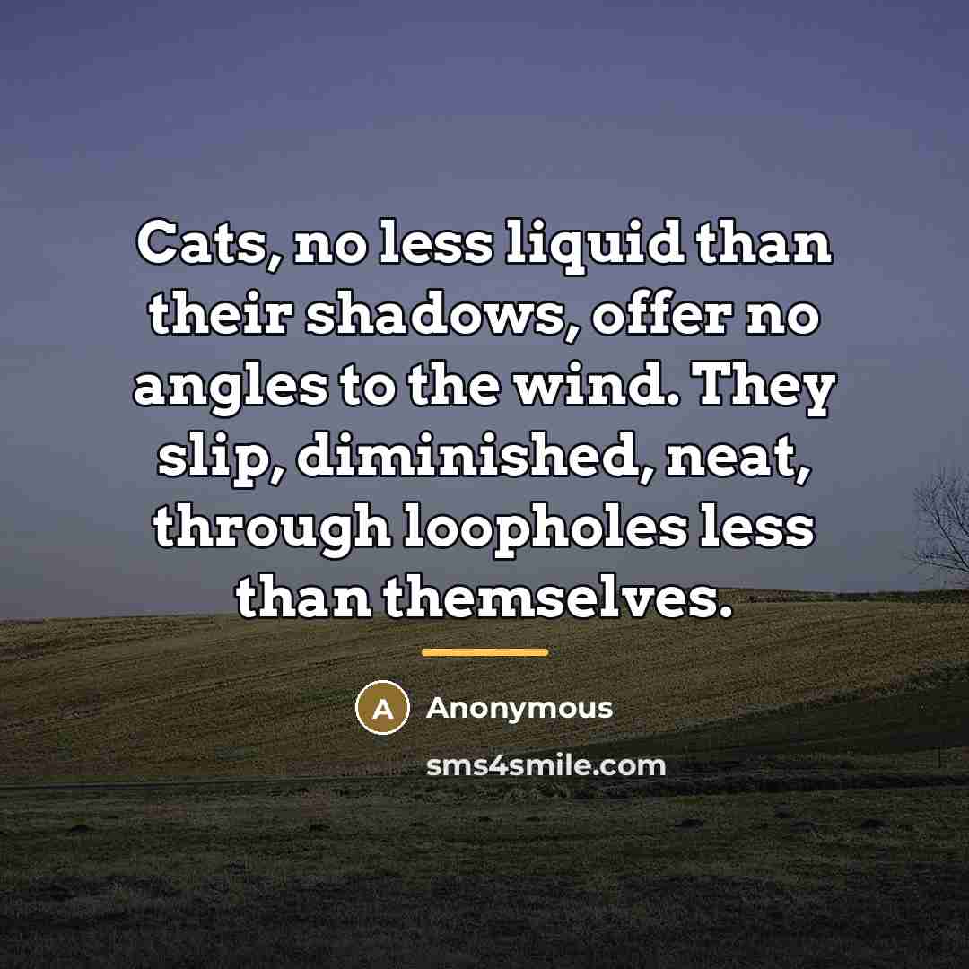 “Cats, no less liquid than their shadows, offer no angles…” quote by Anonymous