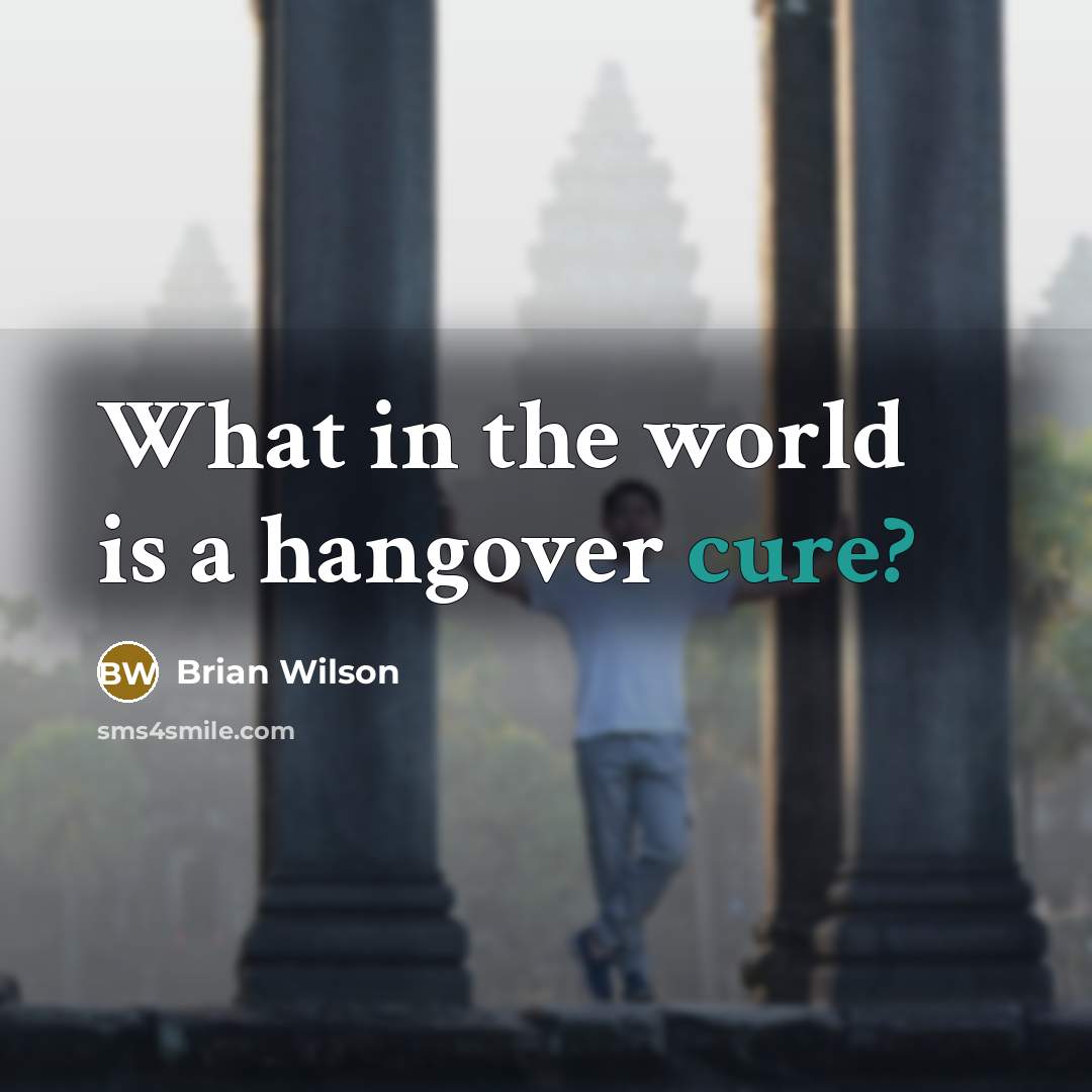 “What in the world is a hangover cure?…” quote by Brian Wilson