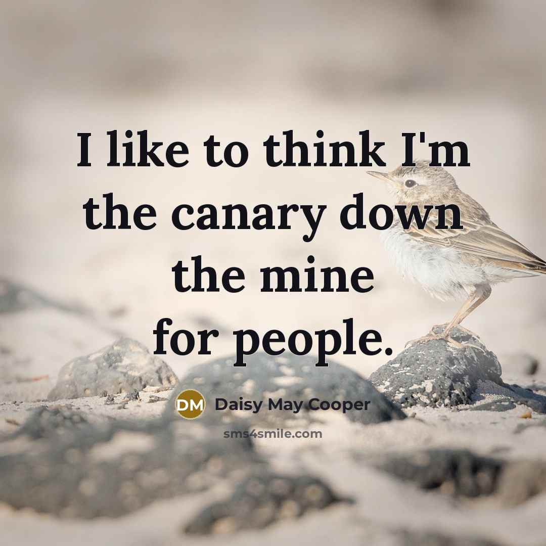“I like to think I'm the canary down the mine…” quote by Daisy May Cooper