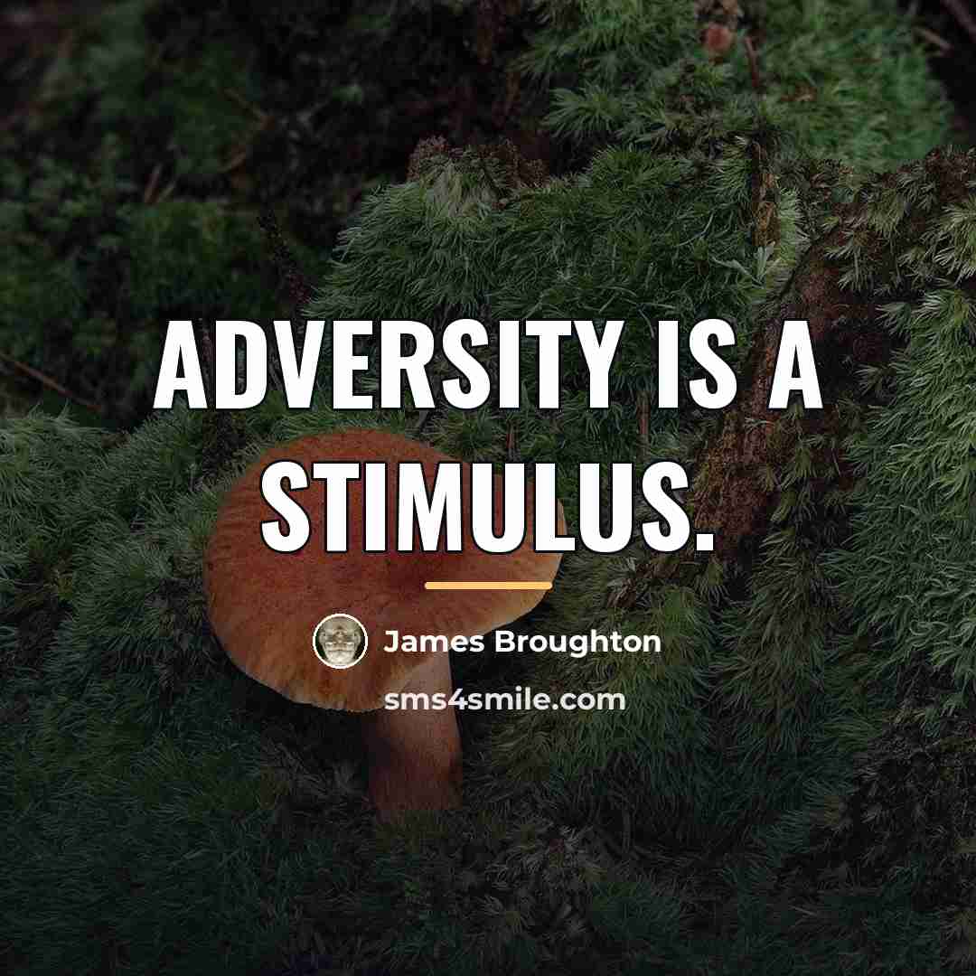 “Adversity is a stimulus.…” quote by James Broughton
