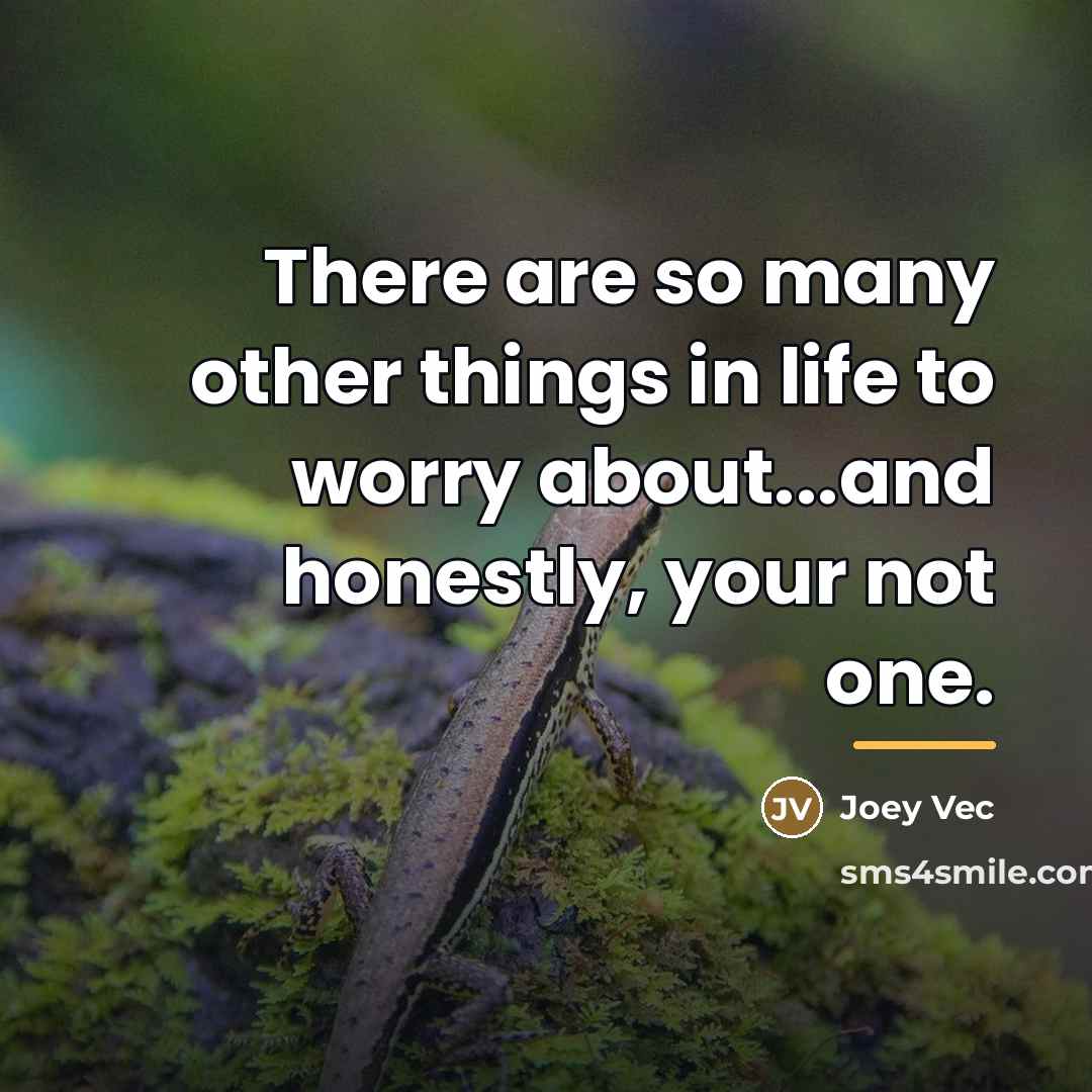“There are so many other things in life to worry…” quote by Joey Vec