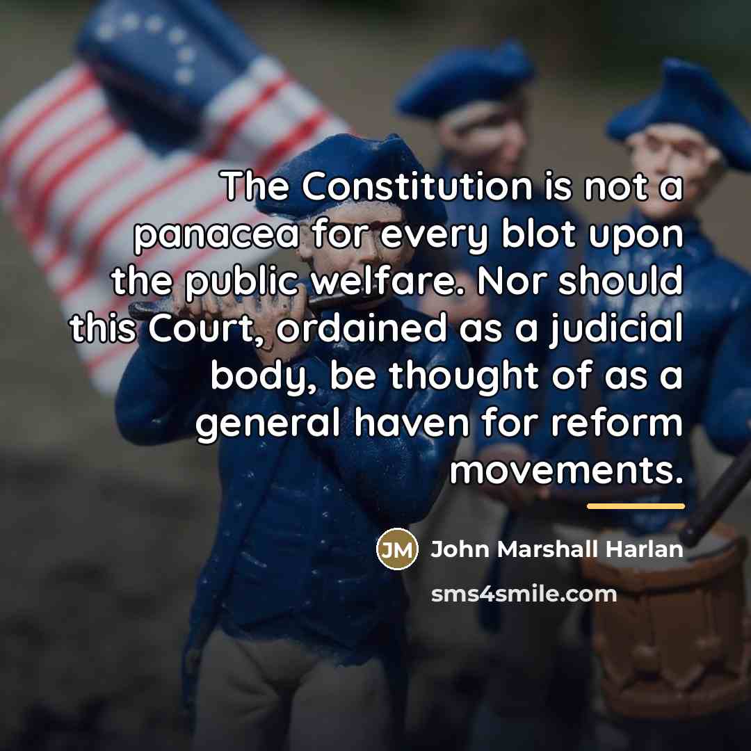 “The Constitution is not a panacea for every blot upon…” quote by John Marshall Harlan