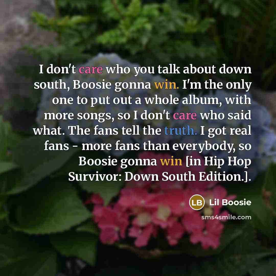 “I don't care who you talk about down south, Boosie…” quote by Lil Boosie