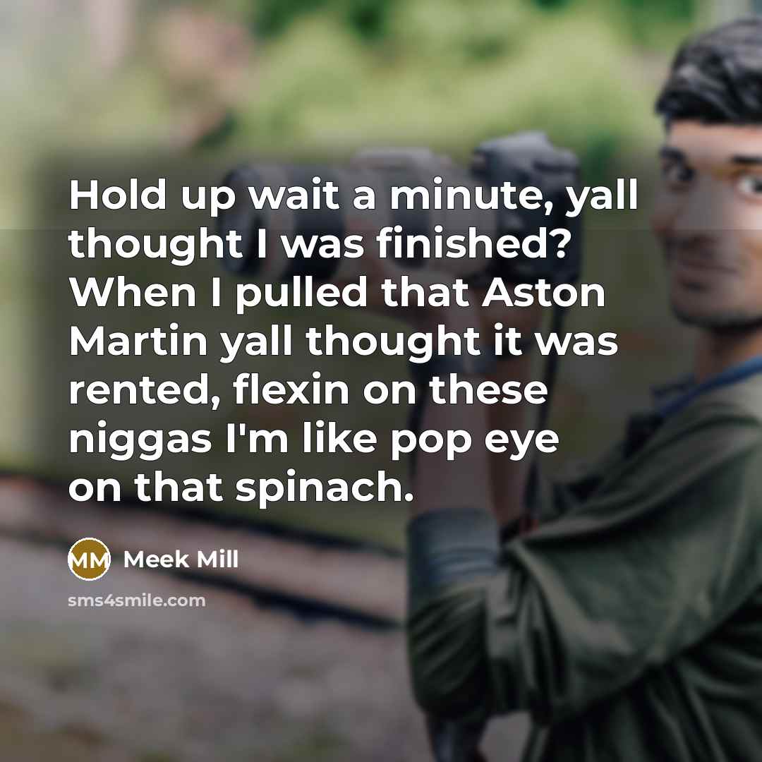 “Hold up wait a minute, yall thought I was finished?…” quote by Meek Mill