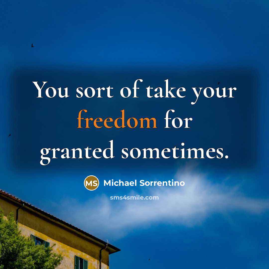 “You sort of take your freedom for granted sometimes.…” quote by Michael Sorrentino
