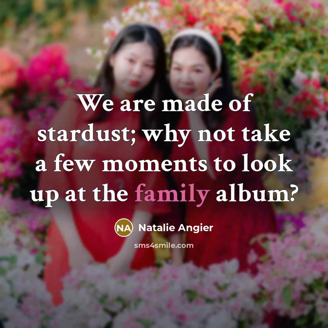 “We are made of stardust; why not take a few…” quote by Natalie Angier
