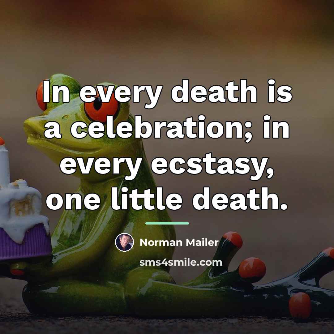 “In every death is a celebration; in every ecstasy, one…” quote by Norman Mailer