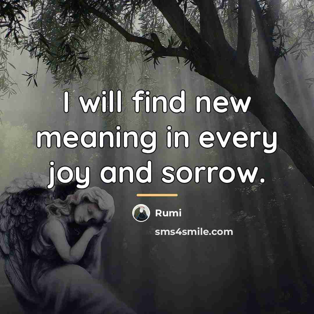 “I will find new meaning in every joy and sorrow.…” quote by Rumi