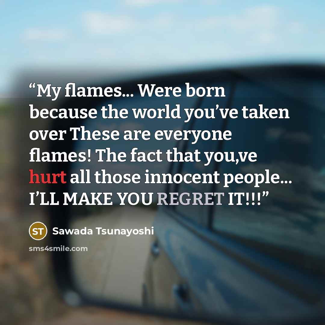 “My flames...‎ Were born because the world you’ve taken over These are everyone flames!‎ The fact that you,ve hurt all those innocent people...‎ I’LL MAKE YOU REGRET IT!!!‎” quote by Sawada Tsunayoshi
