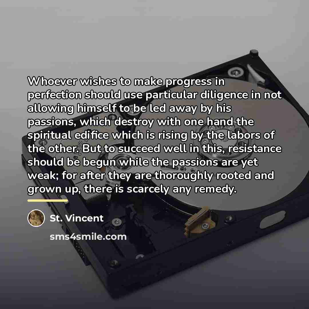 “Whoever wishes to make progress in perfection should use particular…” quote by St. Vincent