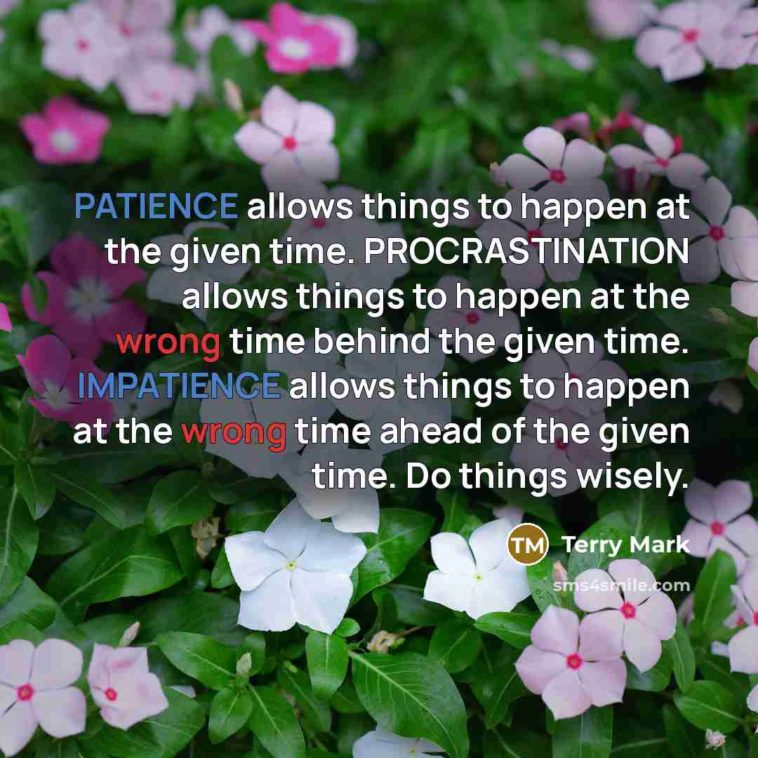 “PATIENCE allows things to happen at the given time. PROCRASTINATION allows things to happen at the wrong time behind the given time. IMPATIENCE allows things to happen at the wrong time ahead of the given time. Do things wisely.” quote by Terry Mark