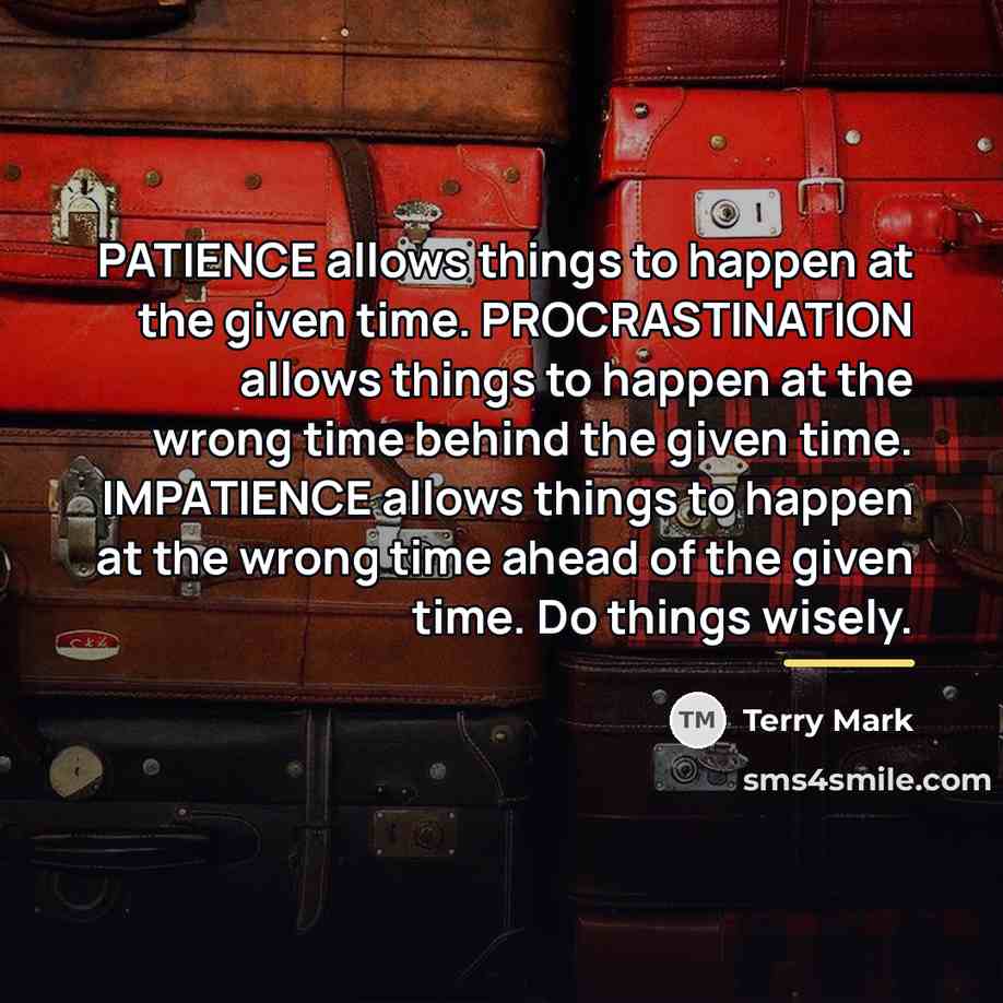 “PATIENCE allows things to happen at the given time. PROCRASTINATION…” quote by Terry Mark