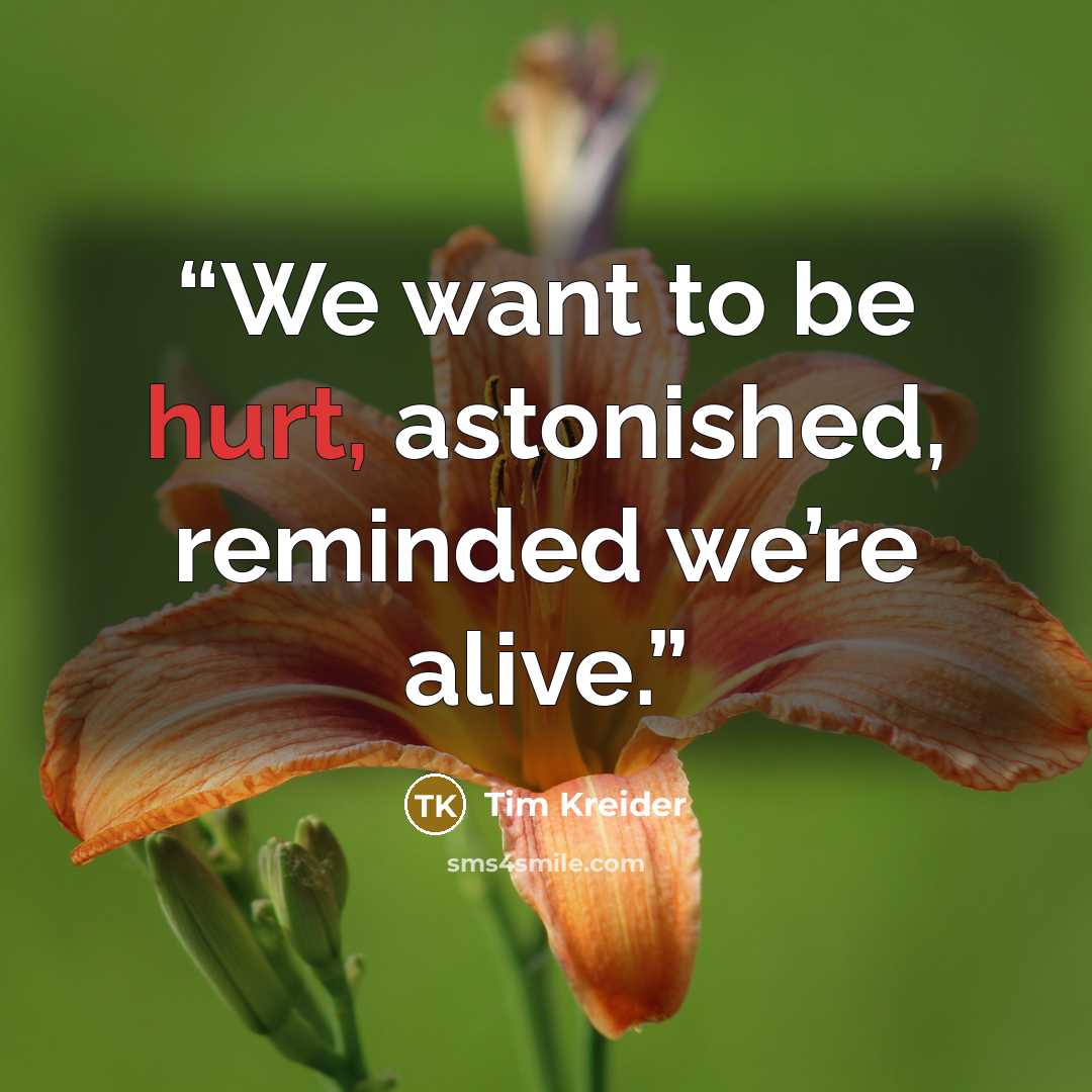 “We want to be hurt, astonished, reminded we’re alive.” quote by Tim Kreider