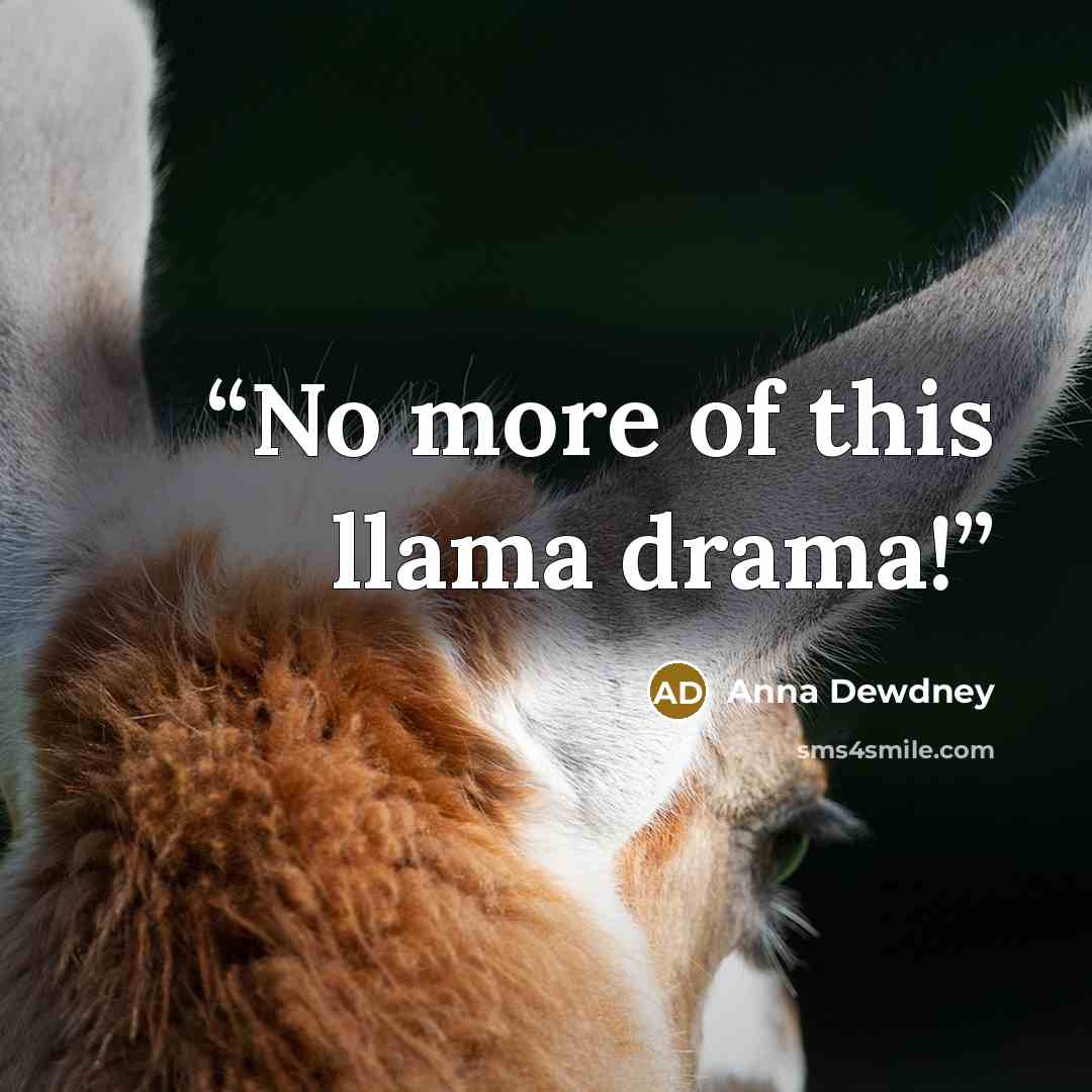 “No more of this llama drama!” quote by Anna Dewdney