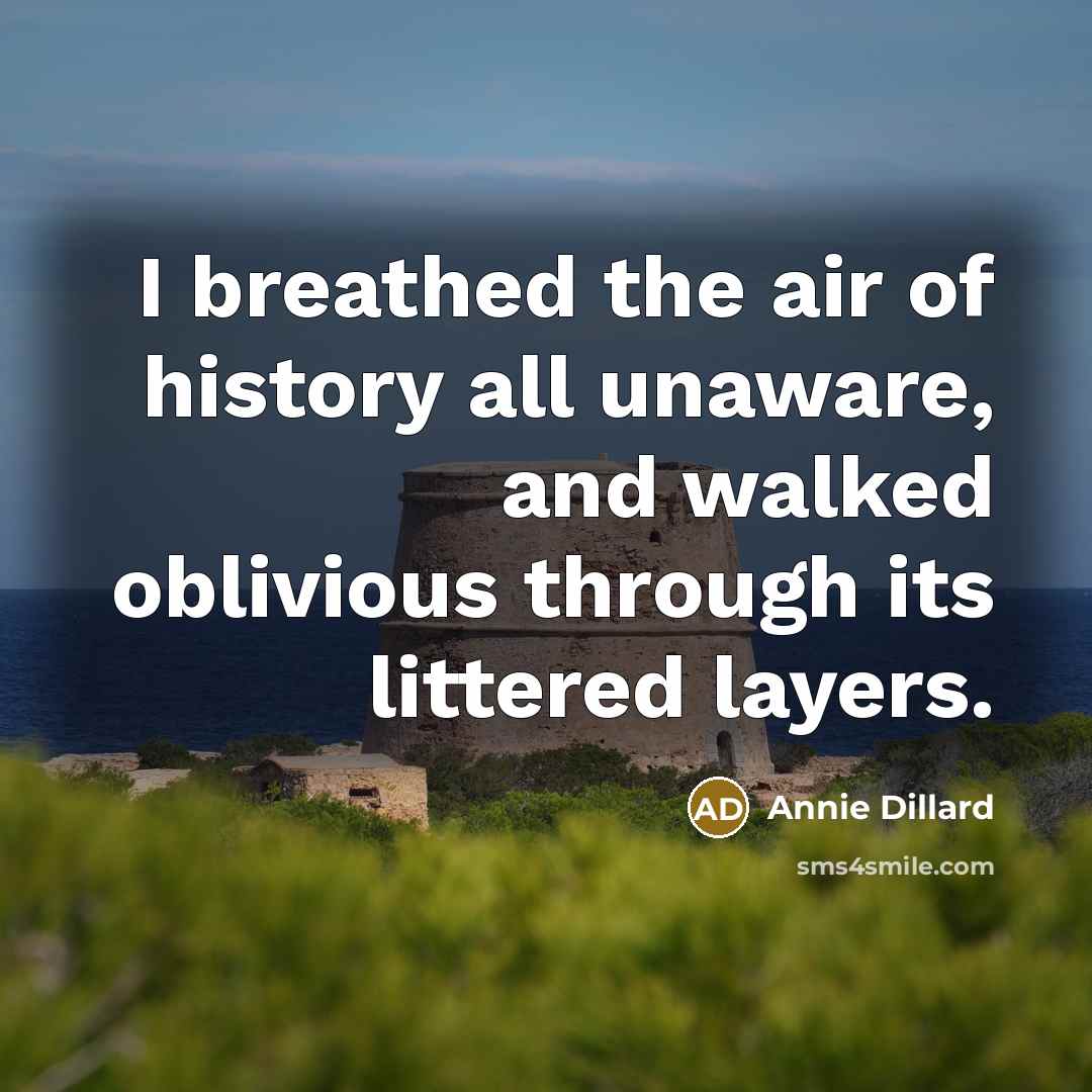 “I breathed the air of history all unaware, and walked…” quote by Annie Dillard