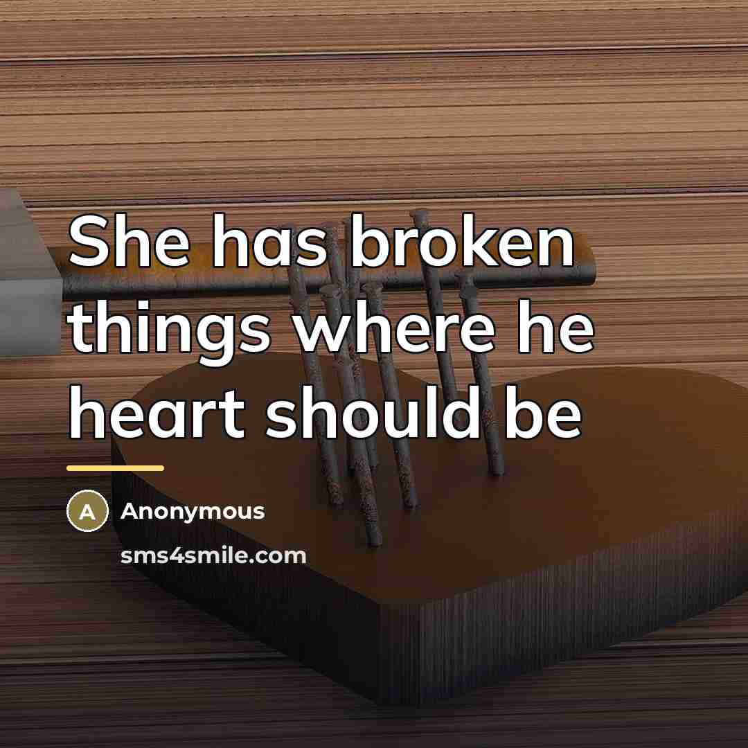 “She has broken things where he heart should be…” quote by Anonymous